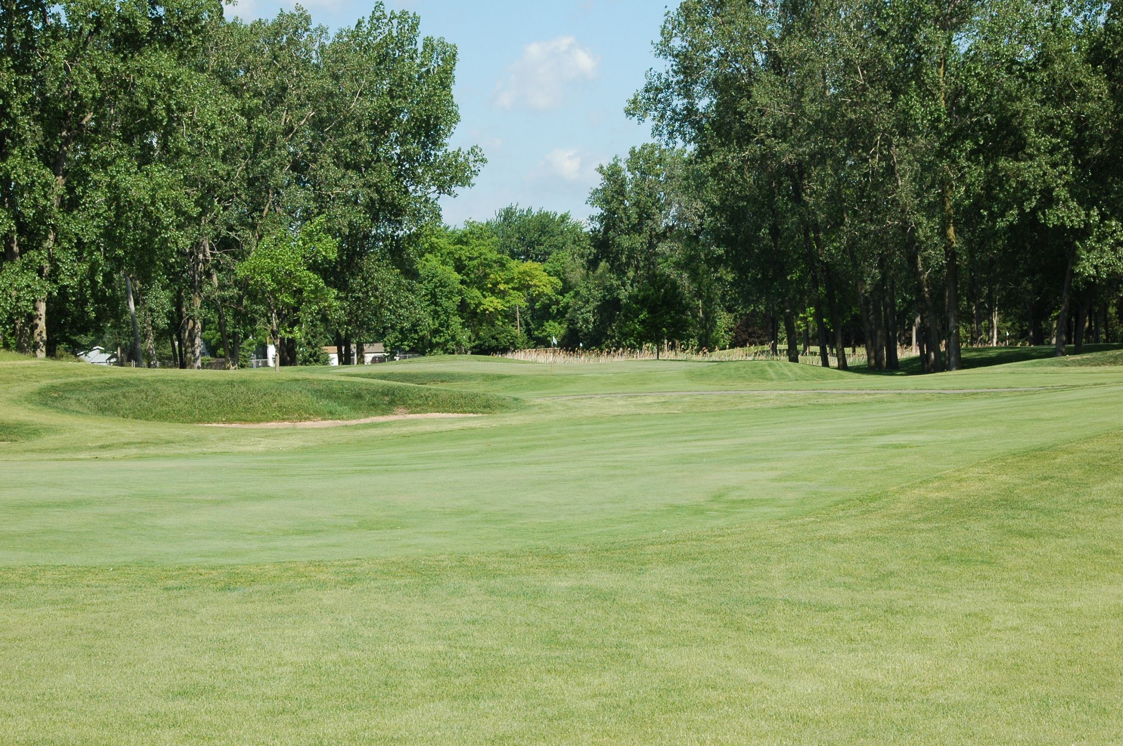 A view of the beautiful scenery of the Taylor Meadows Golf Course.